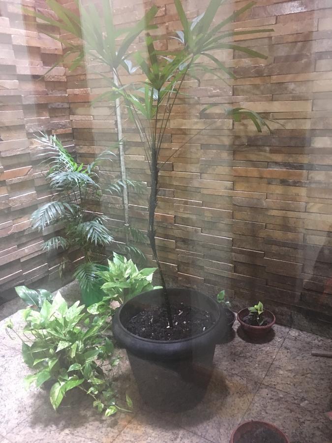 Hotel Grao Para Belém Екстериор снимка